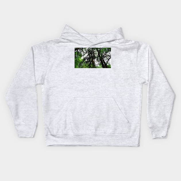 Silver Falls State Park Oregon Kids Hoodie by supernova23